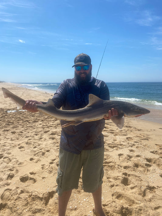 East Coast Fishing Tour - Bemm River