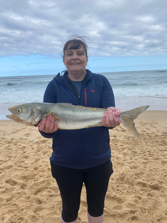 Salmon at Bemm River