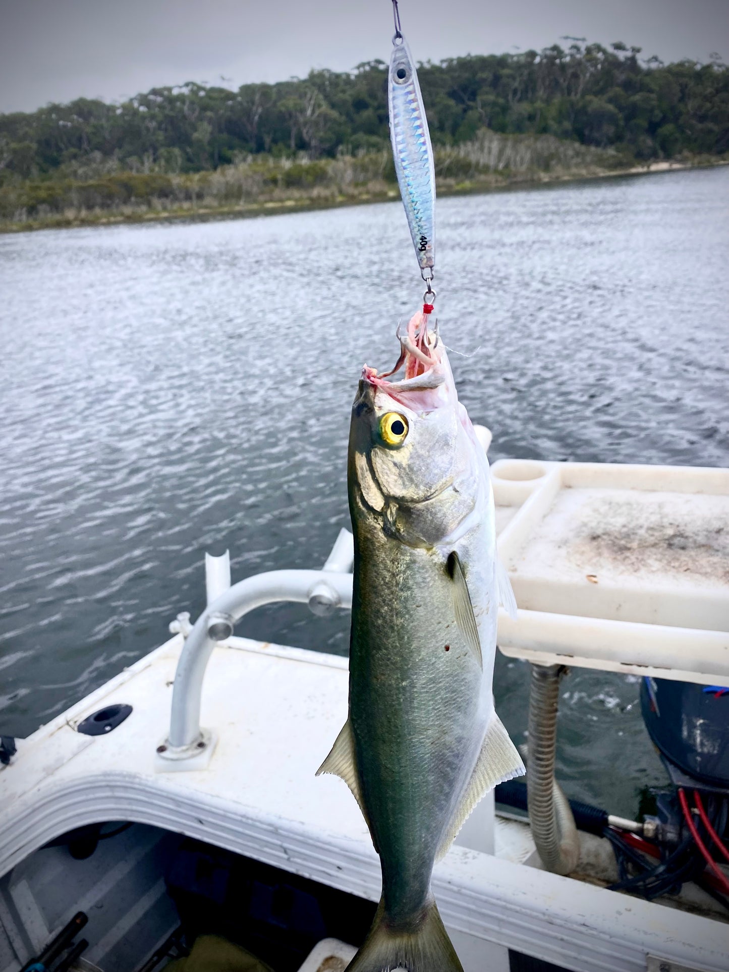 Silver Salmon Surf Lure