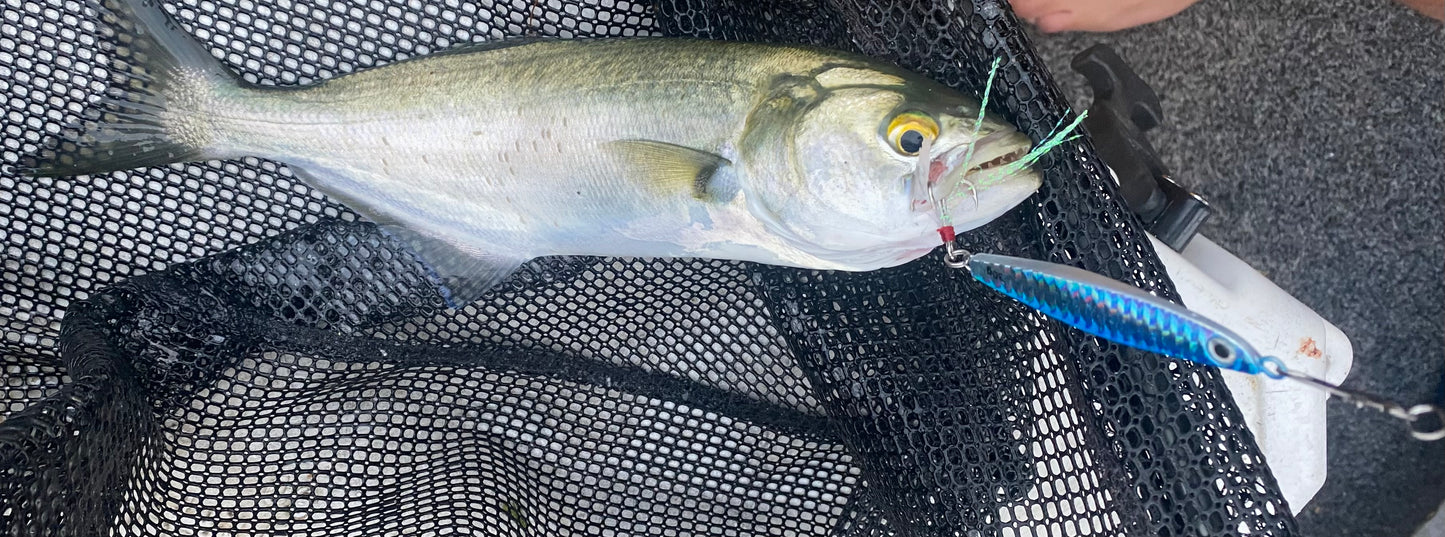 Silver Salmon Surf Lure