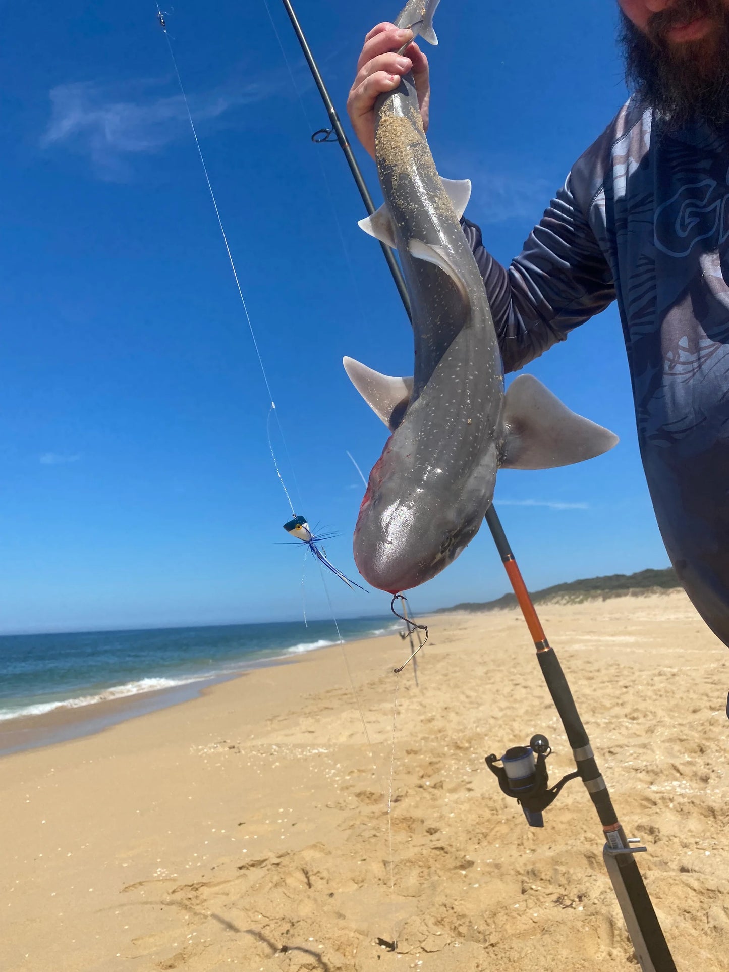 Surf Popper Rig