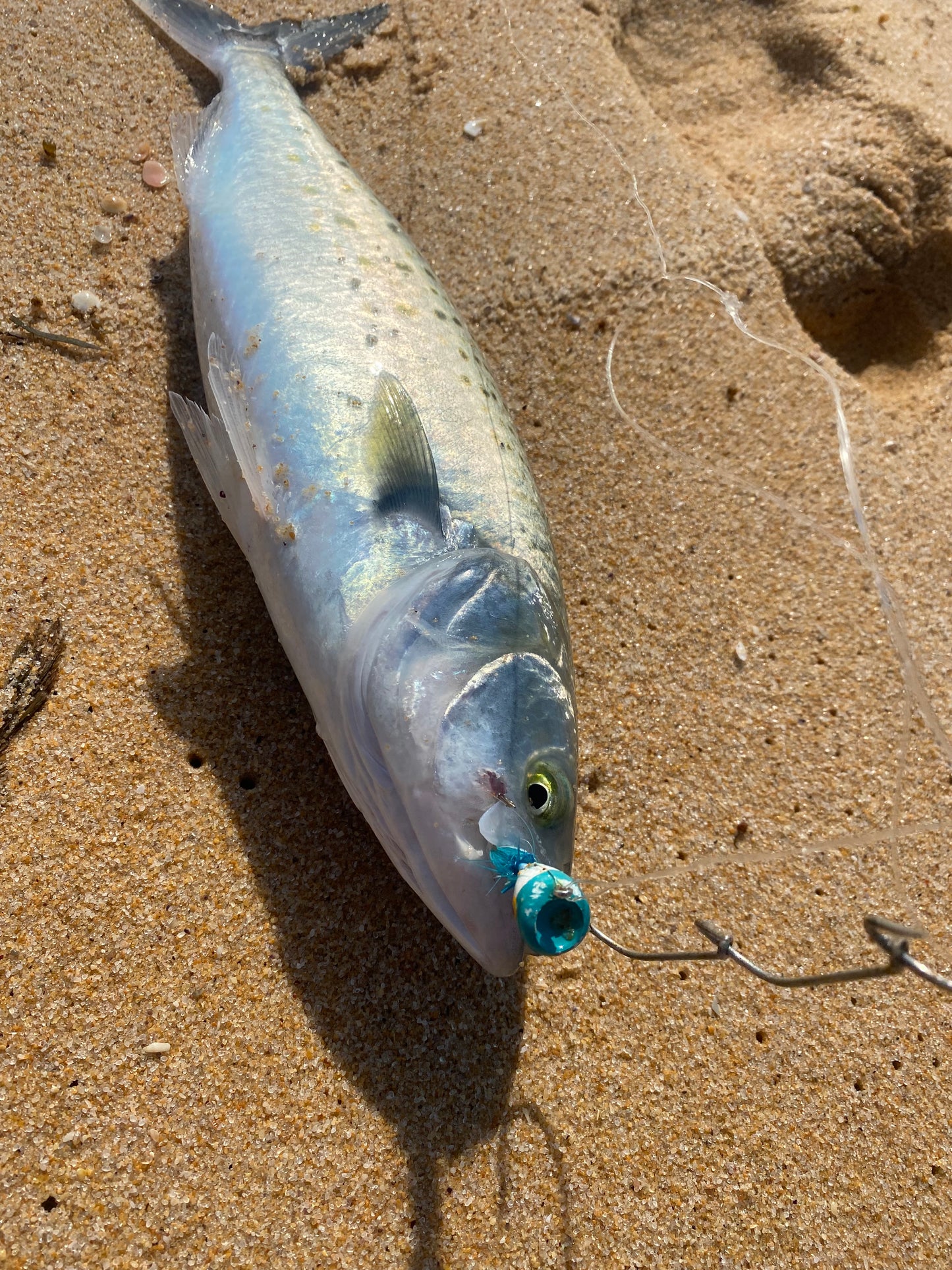 Surf Fishing Rig Pack