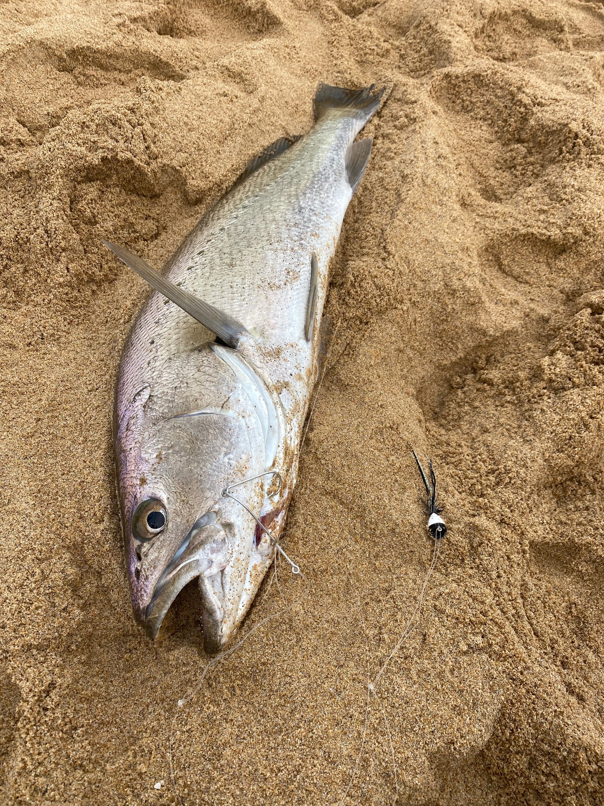 beach fishing gang hooks Gang Hook: 4/0 – Real McCoy Fishing