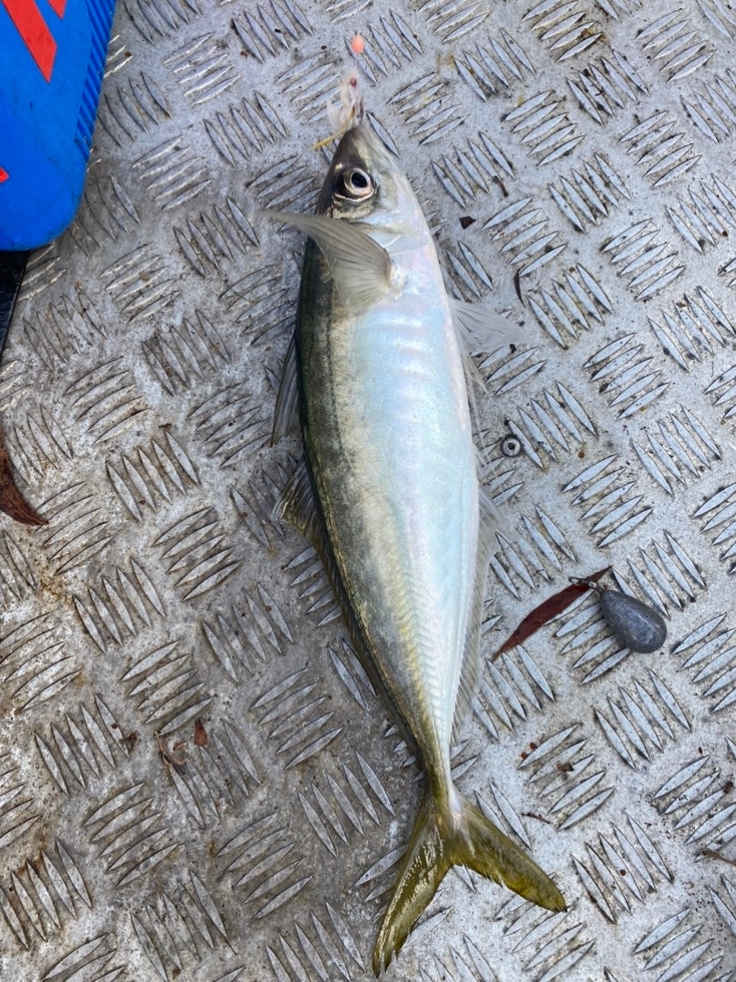 Beach Rigs