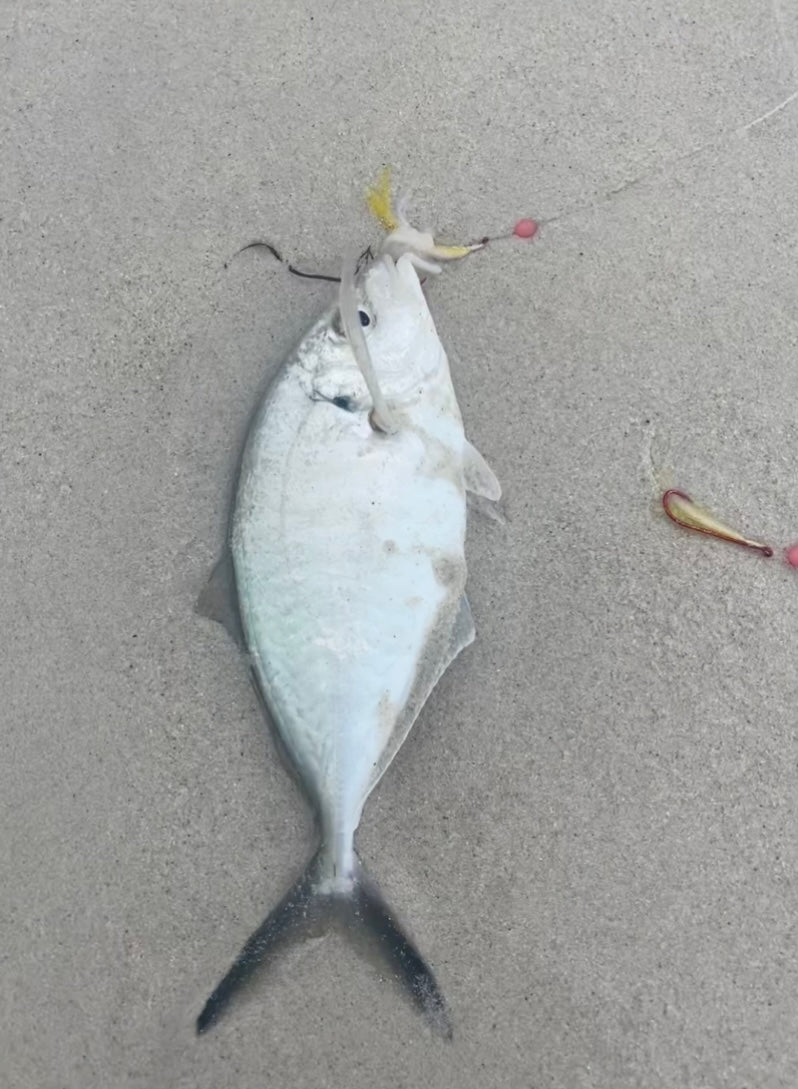 Beach Rigs